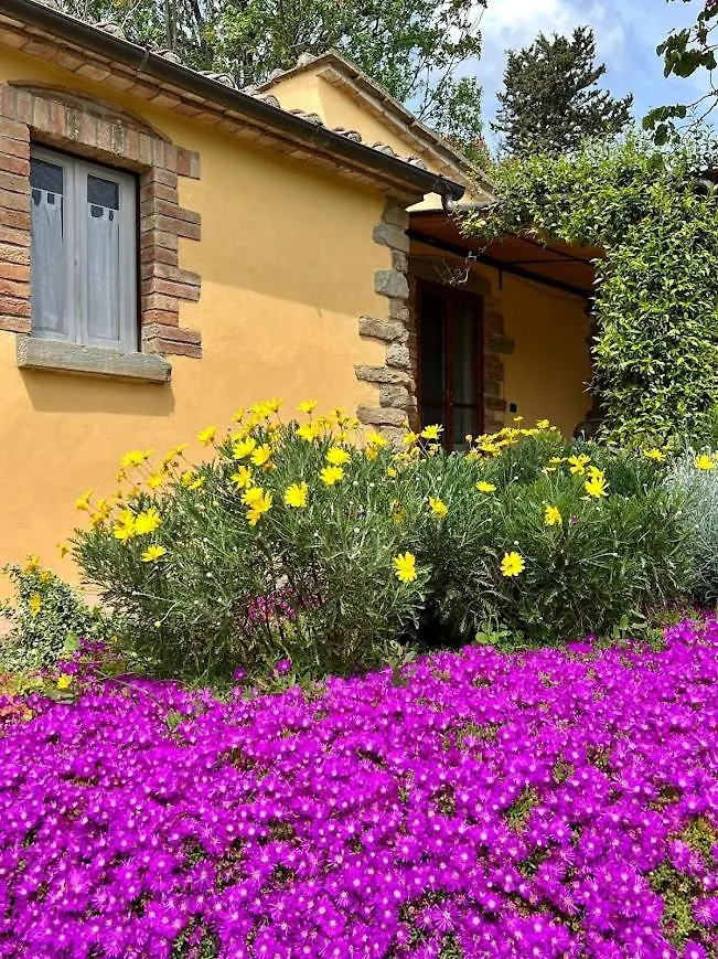 Margherita Holiday Home Cortona Farm stay