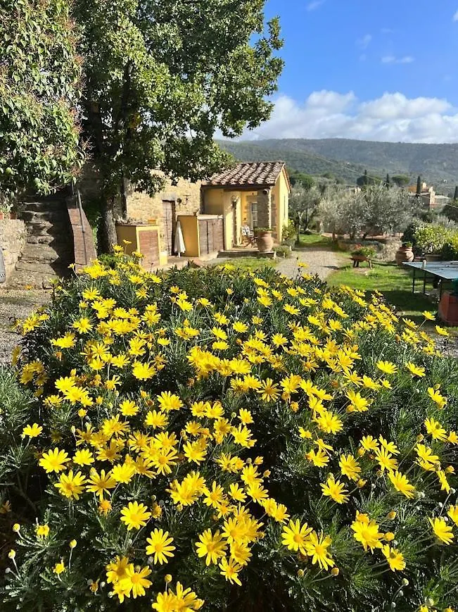 Margherita Holiday Home Cortona Farm stay