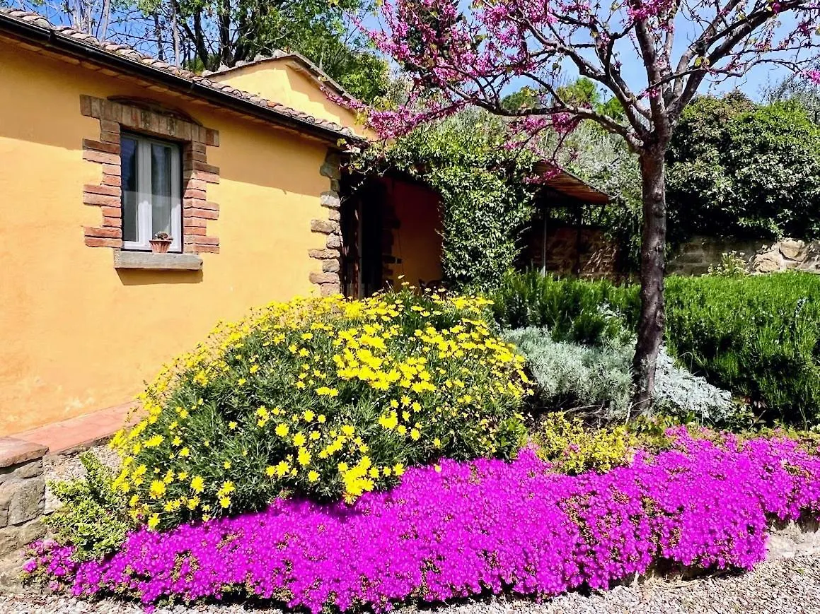 Margherita Holiday Home Cortona 0*,