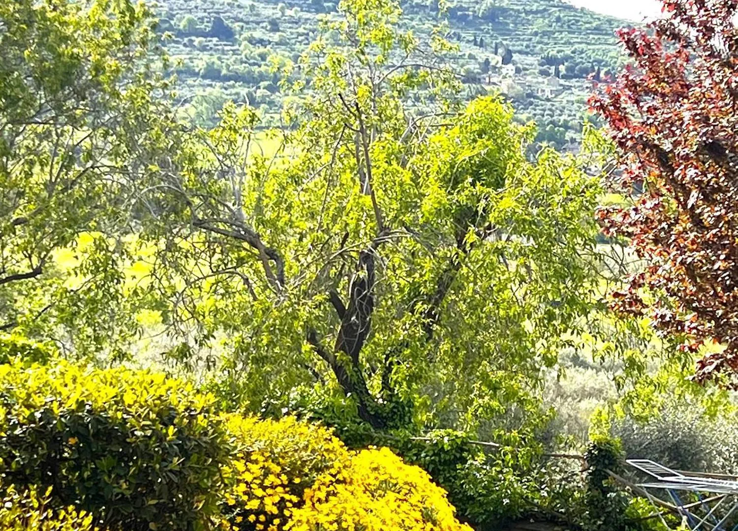 Margherita Holiday Home Cortona Farm stay