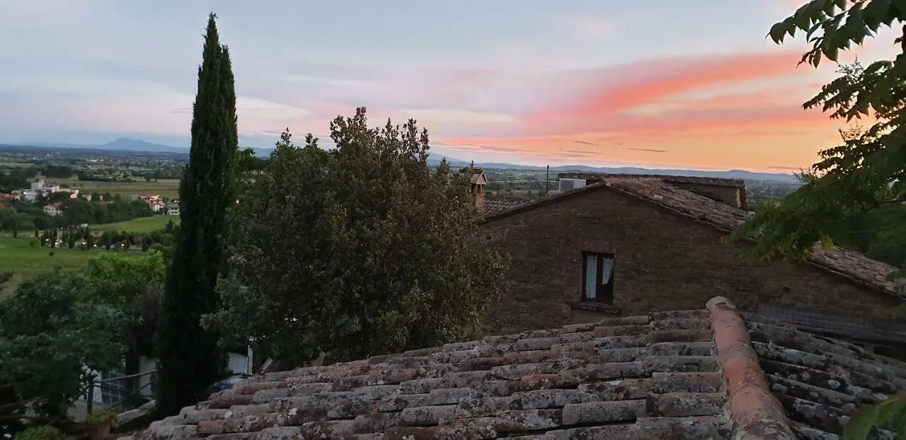 Margherita Holiday Home Cortona Farm stay