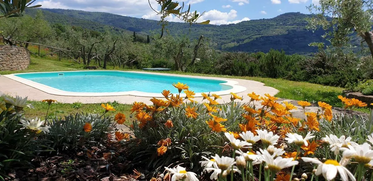 Farm stay Margherita Holiday Home Cortona